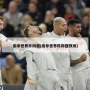 南非世界杯四强(南非世界杯四强预测)