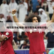 维尔胜羽毛球拍(维尔胜羽毛球拍价格)