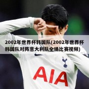 2002年世界杯韩国队(2002年世界杯韩国队对阵意大利队全场比赛视频)