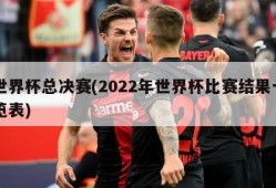 世界杯总决赛(2022年世界杯比赛结果一览表)