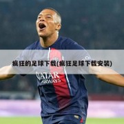 疯狂的足球下载(疯狂足球下载安装)