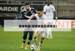 诺维斯基(诺维斯基历史排名)