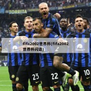 fifa2002世界杯(fifa2002世界杯闪退)