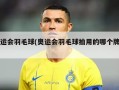 奥运会羽毛球(奥运会羽毛球拍用的哪个牌子)