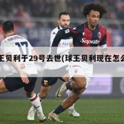 球王贝利于29号去世(球王贝利现在怎么样)