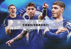 贝兹莫尔(贝兹莫尔简介)