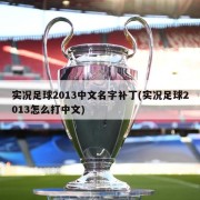 实况足球2013中文名字补丁(实况足球2013怎么打中文)