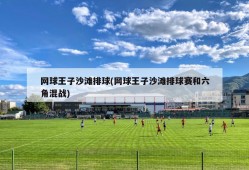 网球王子沙滩排球(网球王子沙滩排球赛和六角混战)