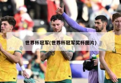 世界杯冠军(世界杯冠军奖杯图片)