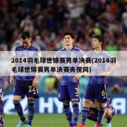 2014羽毛球世锦赛男单决赛(2014羽毛球世锦赛男单决赛央视网)