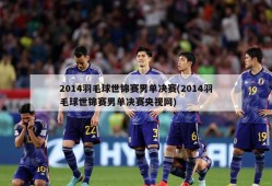 2014羽毛球世锦赛男单决赛(2014羽毛球世锦赛男单决赛央视网)