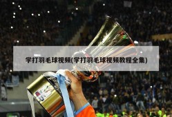 学打羽毛球视频(学打羽毛球视频教程全集)