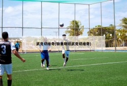 武克切维奇(特里斯坦武克切维奇)