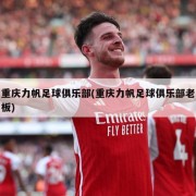 重庆力帆足球俱乐部(重庆力帆足球俱乐部老板)