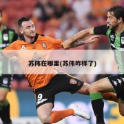 苏伟在哪里(苏伟咋样了)