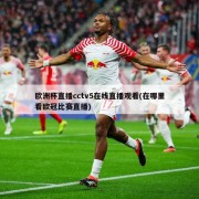 欧洲杯直播cctv5在线直播观看(在哪里看欧冠比赛直播)
