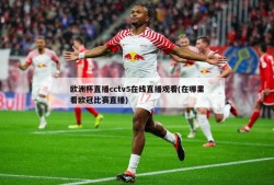 欧洲杯直播cctv5在线直播观看(在哪里看欧冠比赛直播)