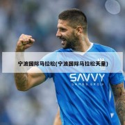 宁波国际马拉松(宁波国际马拉松天童)