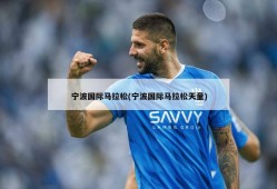 宁波国际马拉松(宁波国际马拉松天童)