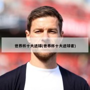 世界杯十大进球(世界杯十大进球者)