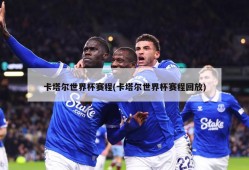 卡塔尔世界杯赛程(卡塔尔世界杯赛程回放)