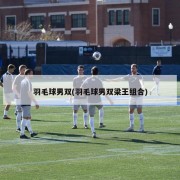 羽毛球男双(羽毛球男双梁王组合)