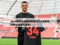 2014世界杯阿根廷阵容(2014世界杯阿根廷国家队阵容)
