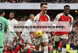印尼羽毛球公开赛(印尼羽毛球公开赛安排)