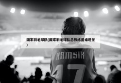 国家羽毛球队(国家羽毛球队总教练是谁现任)