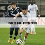 布拉德米勒(布拉梅尔德)