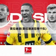 奥拉迪波(奥拉迪波在哪个队)
