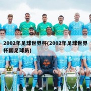 2002年足球世界杯(2002年足球世界杯国足球员)