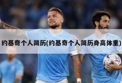 约基奇个人简历(约基奇个人简历身高体重)