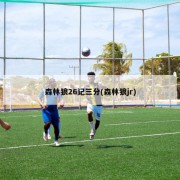 森林狼26记三分(森林狼jr)