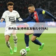 乔丹队友(乔丹队友有几个75大)
