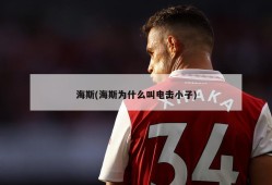 海斯(海斯为什么叫电击小子)