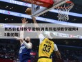 肖杰羽毛球教学视频(肖杰羽毛球教学视频45集优酷)