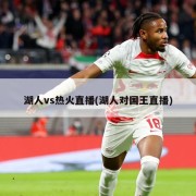 湖人vs热火直播(湖人对国王直播)