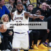 2014男篮世界杯(2014男篮世界杯美国队)