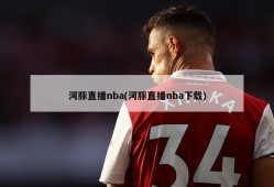 河豚直播nba(河豚直播nba下载)