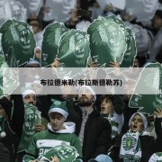 布拉德米勒(布拉斯德勒苏)