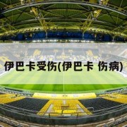 伊巴卡受伤(伊巴卡 伤病)