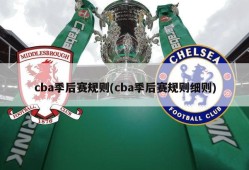 cba季后赛规则(cba季后赛规则细则)