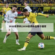2030世界杯(2030世界杯在哪个国家)