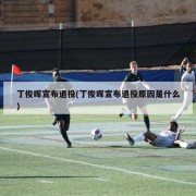 丁俊晖宣布退役(丁俊晖宣布退役原因是什么)
