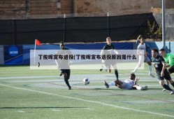 丁俊晖宣布退役(丁俊晖宣布退役原因是什么)