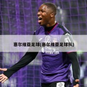 塞尔维亚足球(塞尔维亚足球队)