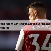 羽毛球男子单打决赛(羽毛球男子单打决赛视频直播)
