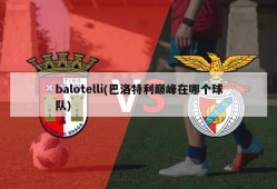 balotelli(巴洛特利巅峰在哪个球队)