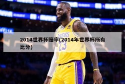 2014世界杯赔率(2014年世界杯所有比分)